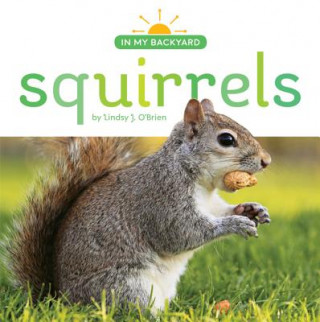 Knjiga Squirrels Lindsy J. O'Brien
