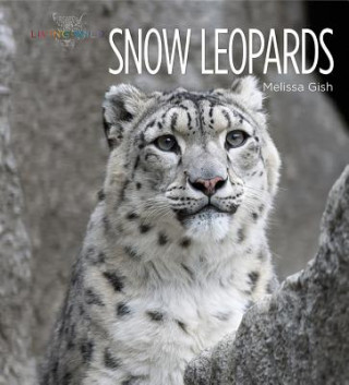 Carte Snow Leopards Melissa Gish