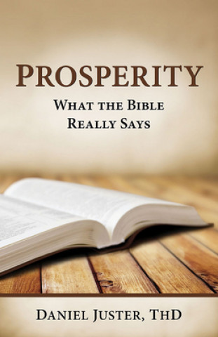 Book Prosperity - What the Bible Really Says Daniel C. Juster