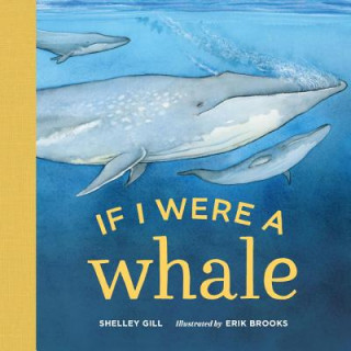Kniha If I Were a Whale Shelley Gill