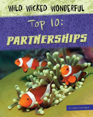 Kniha Top 10: Partnerships Virginia Loh-Hagan