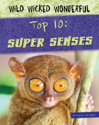 Książka Top 10: Super Senses Virginia Loh-Hagan