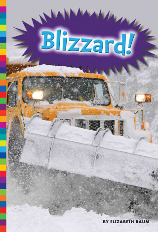 Libro Blizzard! Elizabeth Raum