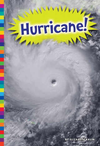 Kniha Hurricane! Elizabeth Raum