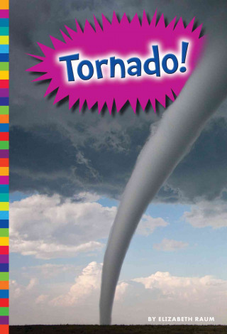 Könyv Tornado! Elizabeth Raum