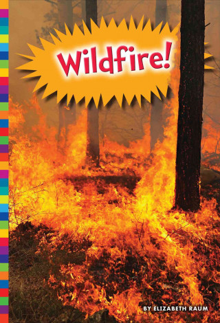 Book Wildfire! Elizabeth Raum