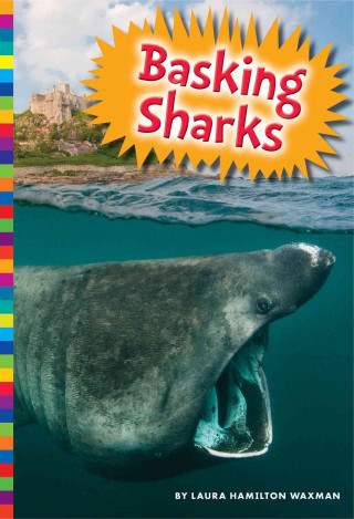 Kniha Basking Sharks Laura Hamilton Waxman