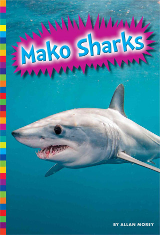 Könyv Mako Sharks Allan Morey