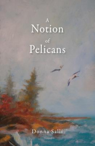 Carte Notion of Pelicans Donna Salli