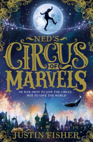 Kniha Ned's Circus of Marvels Justin Fisher