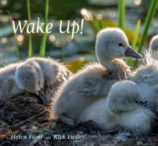 Книга Wake Up! Helen Frost