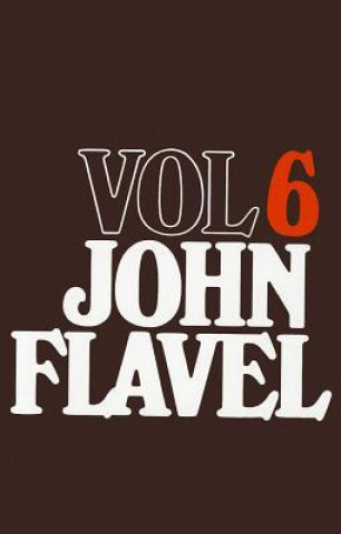 Kniha The Works of John Flavel, Volume 6 John Flavel