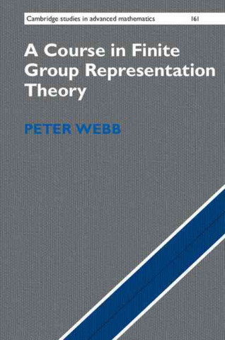 Könyv Course in Finite Group Representation Theory Peter Webb