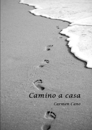 Kniha Camino a Casa Carmen Cano David