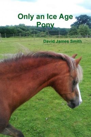 Книга Only an Ice Age Pony David James Smith