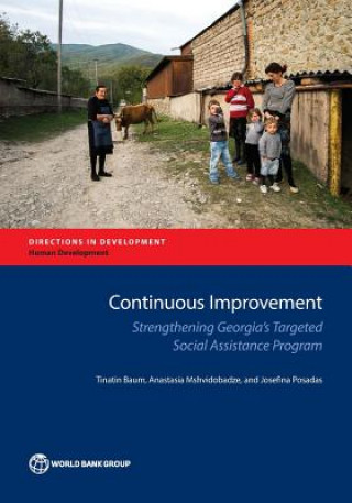 Livre Continuous improvement Tinatin Baum