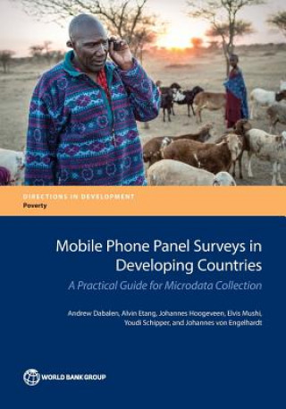 Könyv Mobile phone panel surveys in developing countries Andrew Dabalen