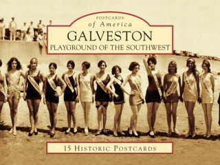 Livre Galveston: Playground of the Southwest W. Dwayne Jones