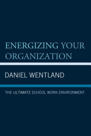 Buch Energizing Your Organization Daniel Wentland