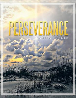 Kniha Perseverance Danika Turner