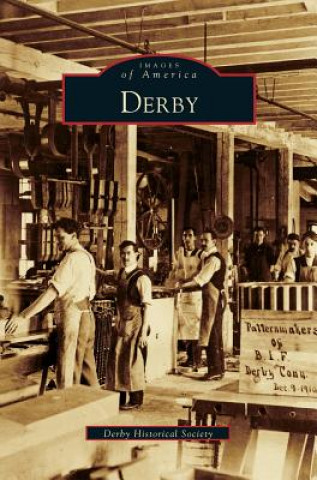 Книга Derby Derby Historical Society