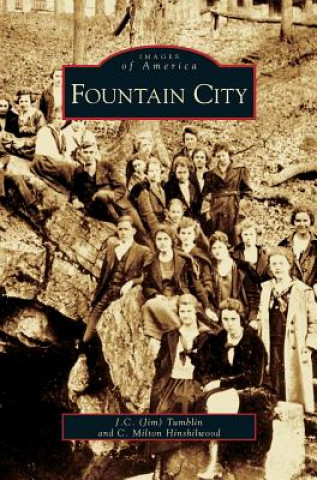 Kniha Fountain City Jim C. Tumblin