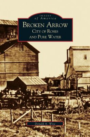 Könyv Broken Arrow Donald Allen Wise