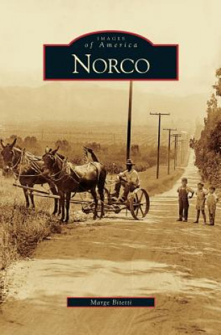 Libro Norco Marge Bitetti