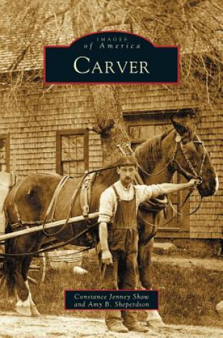 Книга Carver Constance Jenney Shaw