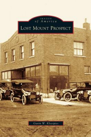 Книга Lost Mount Prospect Gavin W. Kleespies