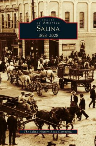 Książka Salina, 1858-2008 The Salina History Book Committee