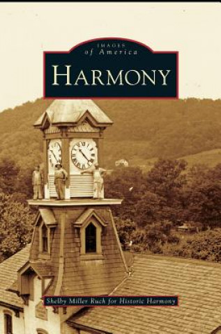 Kniha Harmony Shelby Miller Ruch