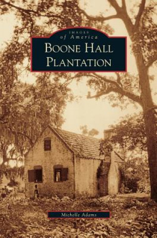 Carte Boone Hall Plantation Michelle Adams