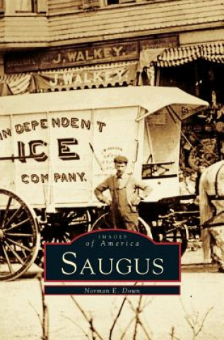 Книга Saugus Norman E. Down