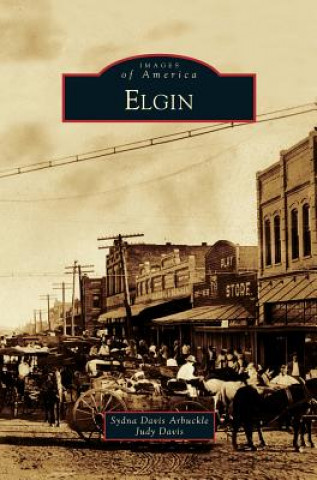 Book Elgin Sydna Davis Arbuckle