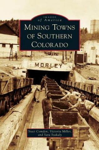 Книга Mining Towns of Southern Colorado Staci Comden