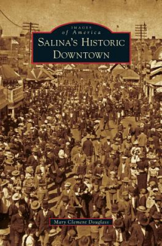 Libro Salina's Historic Downtown Mary Clement Douglass