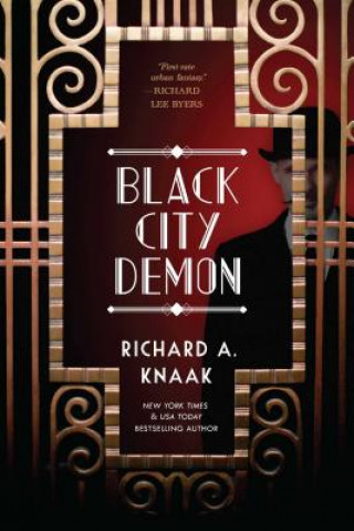 Kniha Black City Demon Richard A. Knaak