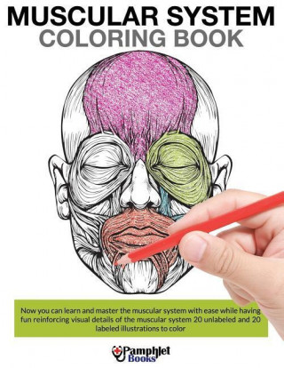 Könyv Muscular System Coloring Book Pamphlet Books