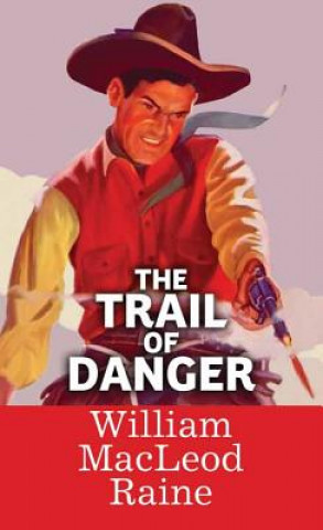 Buch The Trail of Danger William MacLeod Raine