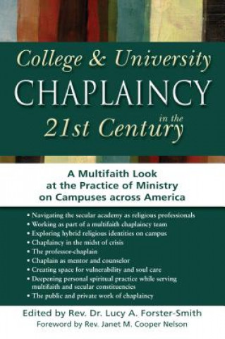 Kniha College & University Chaplaincy in the 21st Century Janet M. Cooper Nelson