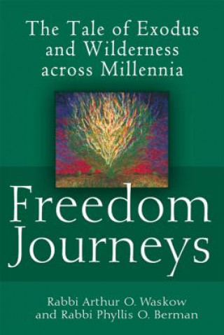 Książka Freedom Journeys Arthur Ocean Waskow