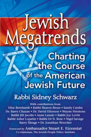 Kniha Jewish Megatrends Sidney Schwarz