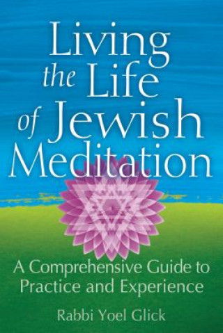 Knjiga Living the Life of Jewish Meditation Yoel Glick