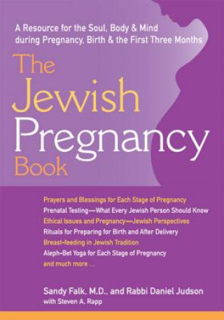 Carte Jewish Pregnancy Book Sandy Falk
