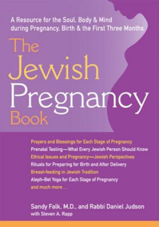 Buch Jewish Pregnancy Book Sandy Falk