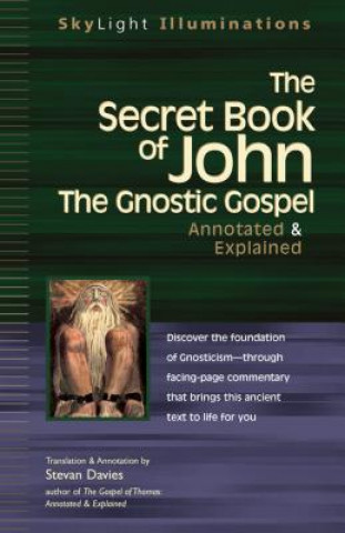 Kniha Secret Book of John Stevan Davies