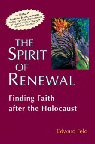 Könyv Spirit of Renewal Edward Feld