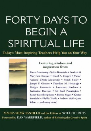 Книга Forty Days to Begin a Spiritual Life Maura Shaw