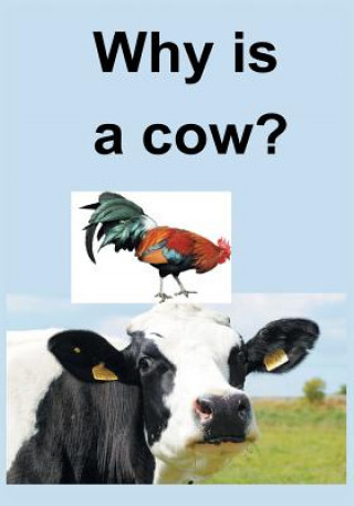 Kniha Why Is a Cow? Allen Brown